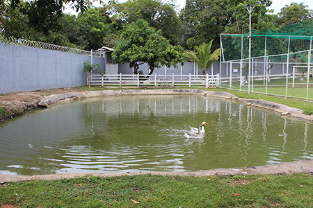 Clínica de Reabilitação em Belo Horizonte - Minas Gerais - Tratamento para Dependência Química e Alcoolismo